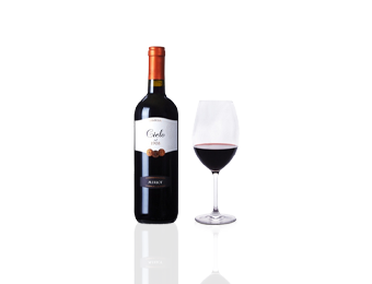 果酒果饮酿造厂工程设备