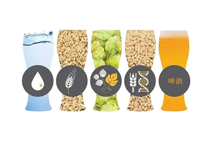 精酿啤酒-山东天泰啤酒设备