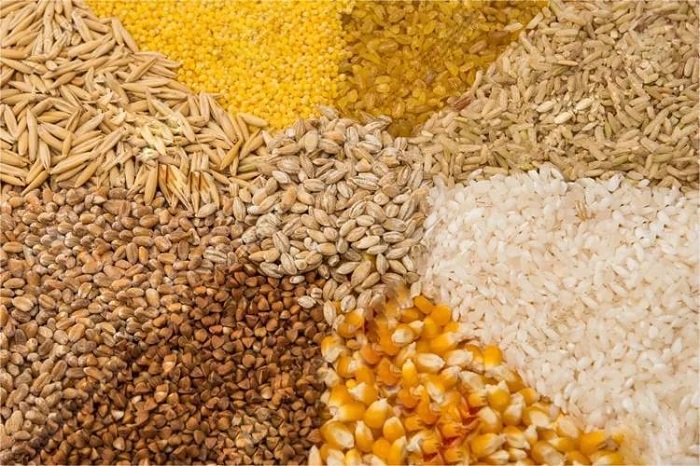 麦芽辅料-山东天泰啤酒设备