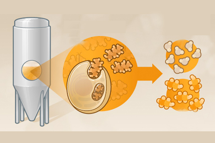 啤酒发酵-山东天泰啤酒设备