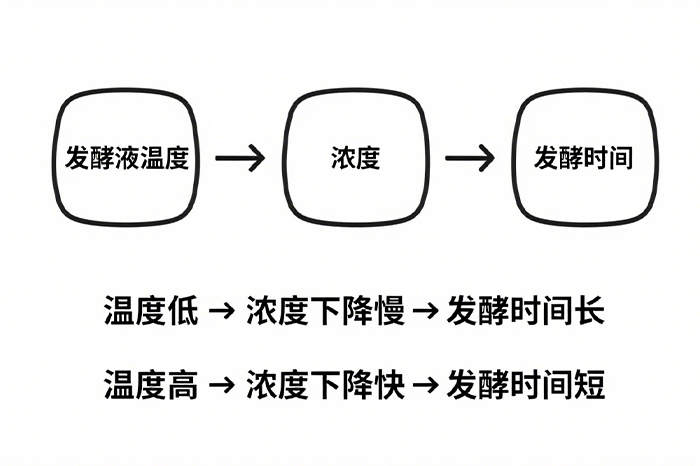 啤酒发酵-山东天泰啤酒设备