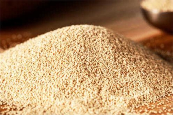 啤酒酵母-山东天泰啤酒设备