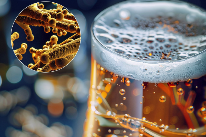 啤酒发酵罐-山东天泰啤酒设备