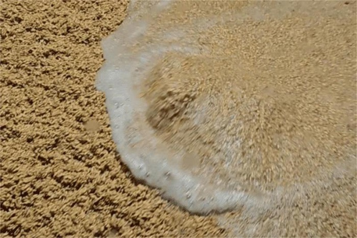 浸麦方法-山东天泰啤酒设备