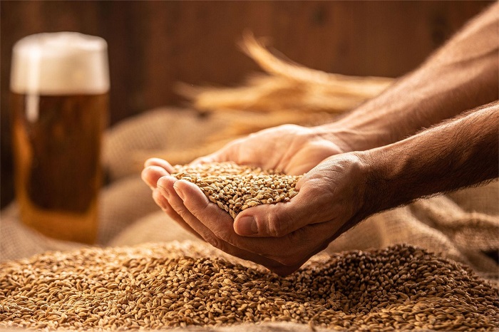 浸麦水温-山东天泰啤酒设备