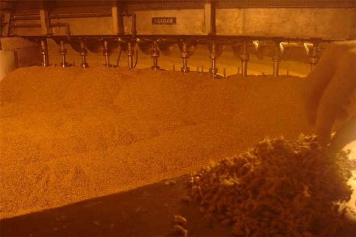 麦芽干燥设备-山东天泰啤酒设备