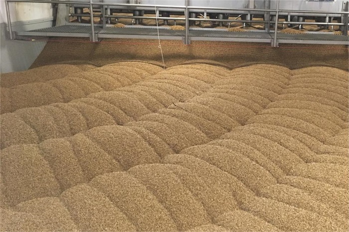 麦芽干燥-山东天泰啤酒设备