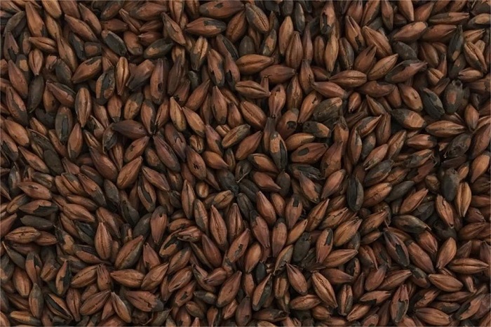 麦芽焙焦过程-山东天泰啤酒设备