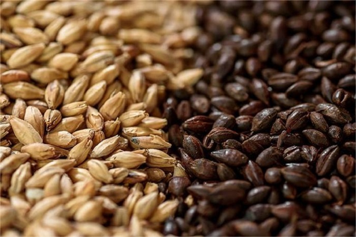 麦芽焙焦温度-山东天泰啤酒设备