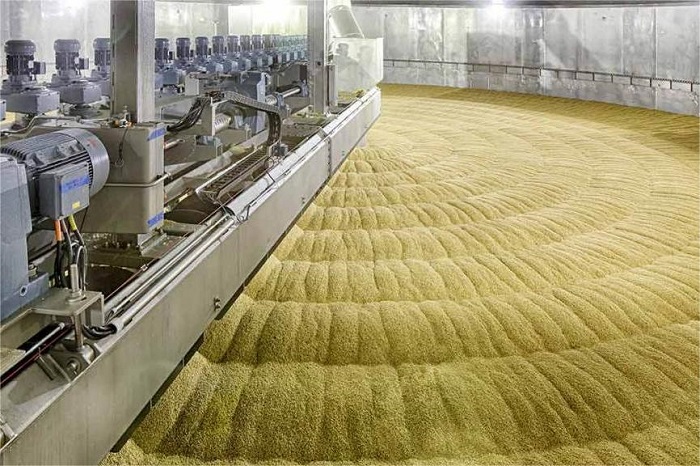 53.麦芽干燥过程中如遇停电、停气应采取什么紧急措施？