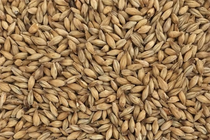 浅色麦芽-山东天泰啤酒设备