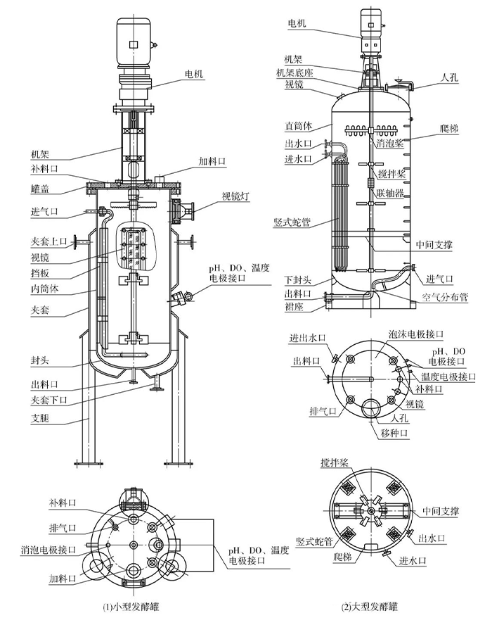 机械式搅拌发酵罐