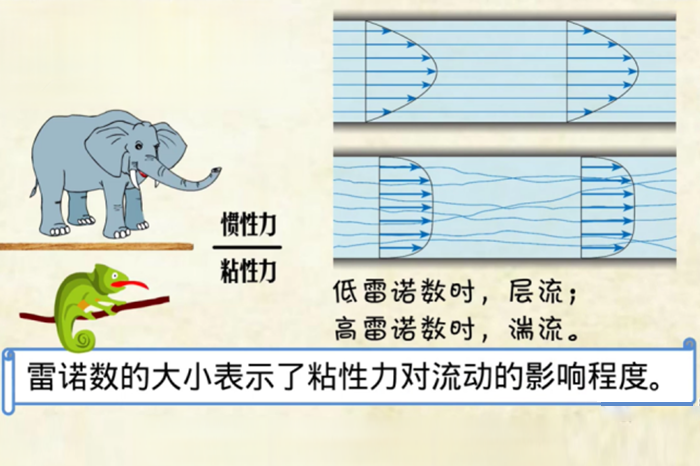 雷诺数、层流、湍流 4